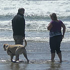 people on the beach in manzanita, oregon