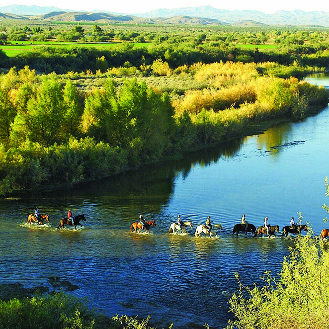 people on horseback riding through a river