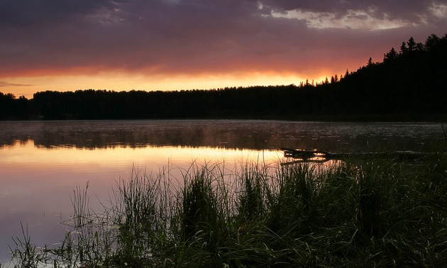 Sunrise at Miller Lake, a quiet and beautiful setting.