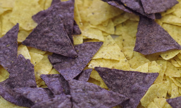 Multi-coloured tortilla chips are our family’s favourite.
