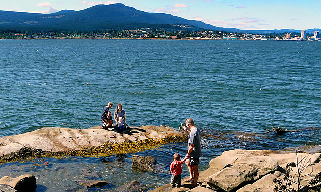 people on a beach