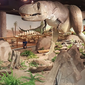 A display at the Las Vegas Natural History Museum. 