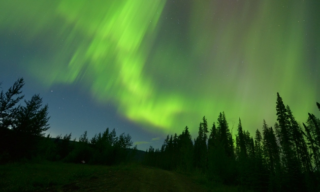 Tumbler Ridge BC