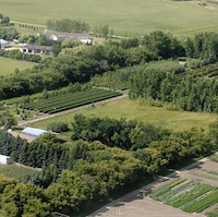 Ariel view of JWD Market Garden, Outlook SK