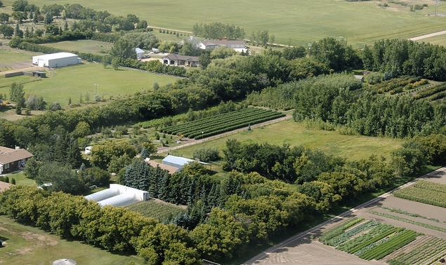 Ariel view of JWD Market Garden, Outlook SK