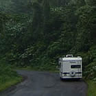 Montiverdi Cloud Forest, Costa Rica.