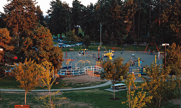 people on a playground in a park area