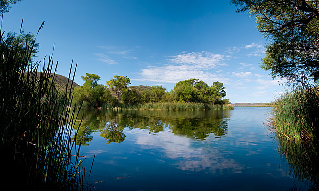 lake with trees around it in Arizona, USA