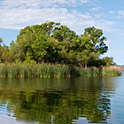lake with trees around it in Arizona, USA