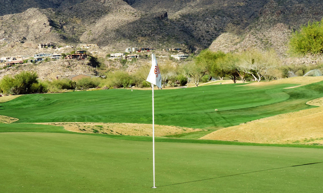 flag on a golf green
