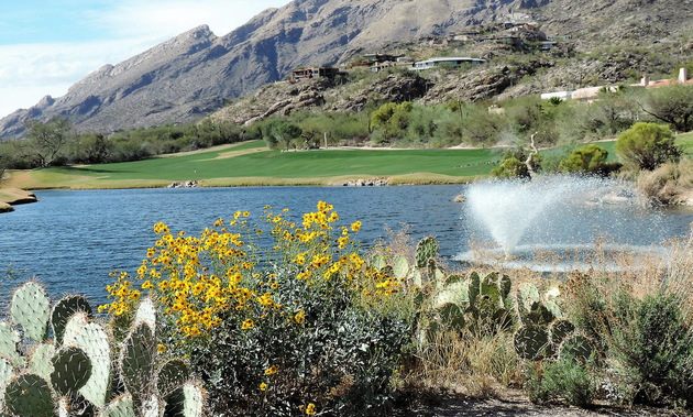 water feature at a golf course