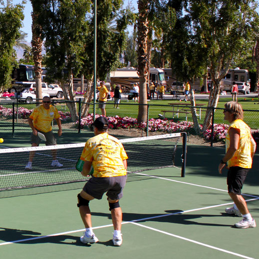 Participants in the Sunshine Invitational Charity Event in Indio, California, play pickle-ball to raise money for cancer research. 
