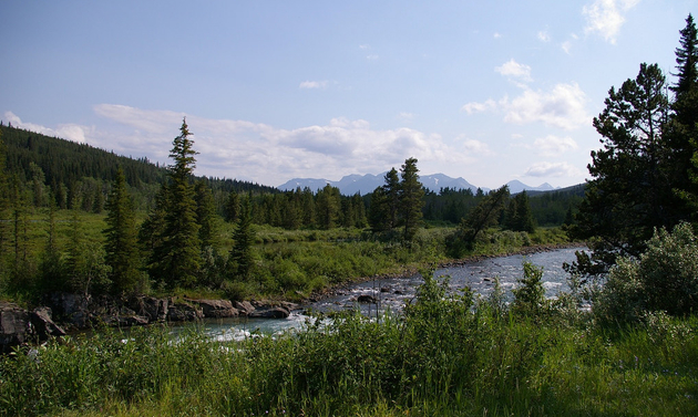 Castle River near Pincher Creek, Alberta.