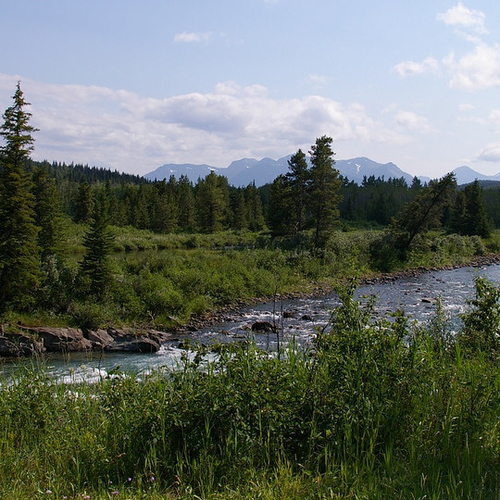 Castle River near Pincher Creek, Alberta.