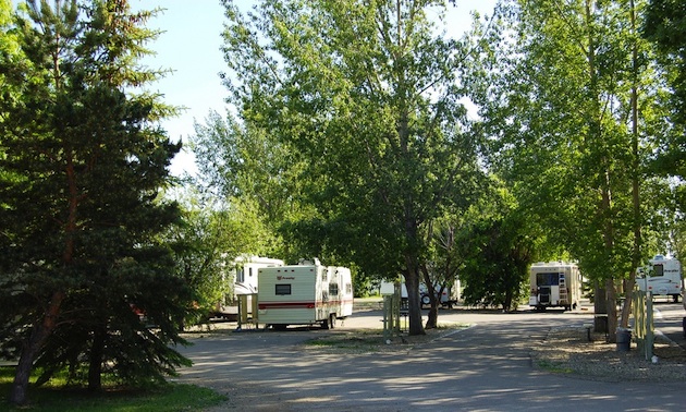 treed campground