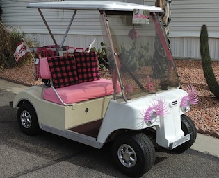 Princess golf cart