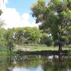 Twin Pond in San Bernardino National Wildlife Refuge