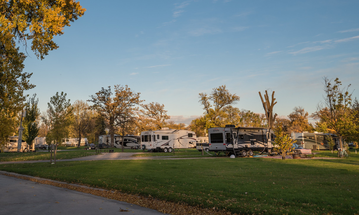 RVs lined up in a campground