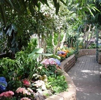 The Regina Floral Conservatory’s floral display changes six times per year with seasonal offerings.