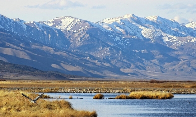 Nevada Tourism awards $983,400 in grants to promote rural Nevada.