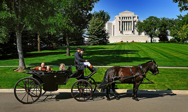 people riding in a horse drawn carriage in Cardston