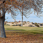 Roadrunner Dunes Golf Course