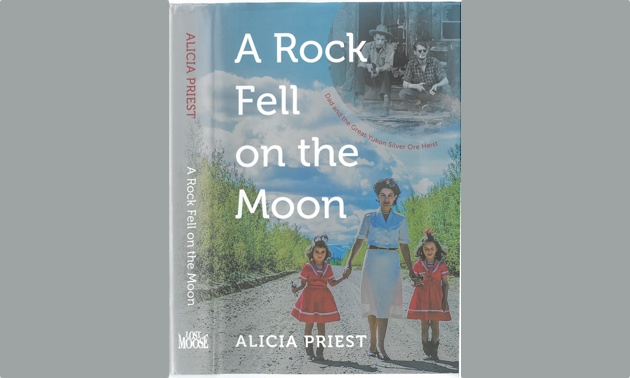 Cover of the book A Rock Fell on the Moon. 
