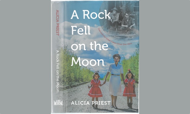 Cover of the book A Rock Fell on the Moon.