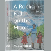 Cover of the book A Rock Fell on the Moon. 