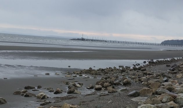 White Rock beach in BC is a must-see