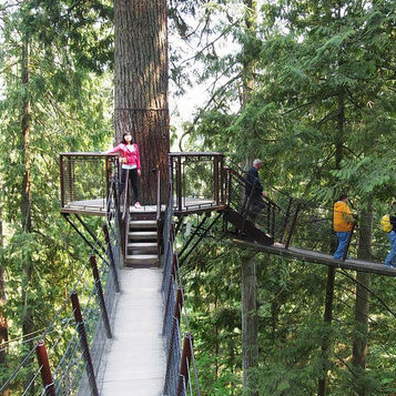 Capilano bridge