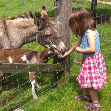 Girl feeding some animals at Kilby Historic site