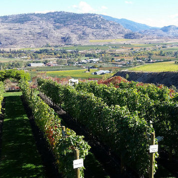 Osoyoos BC winery