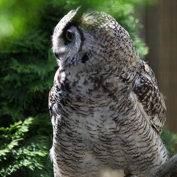 The Greater Vancouver Zoo is a must-see.