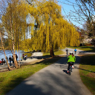 Cycling in Stanley Park is one fantastic way to see Vancouver's sights.