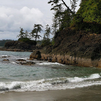 Tofino has beautiful beaches that welcome surfers, swimmers, wildlife photographers and anyone else who enjoys the great outdoors.