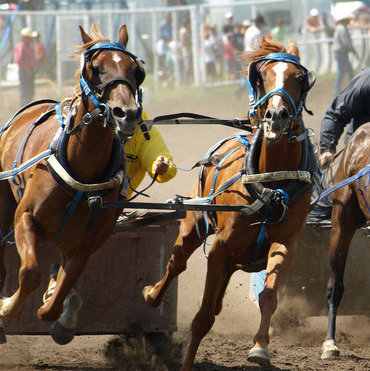 Horse racing is one aspect of culture in Vermilion, but there's so much more to this vibrant community.
Photo courtesy Mary Lee Prior