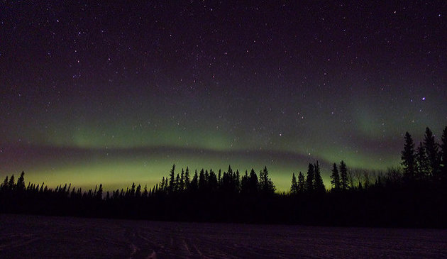 northern lights in alberta