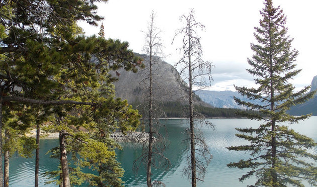 Banff welcomes campers warmly.