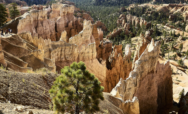 Delicate rock formations glaring in the sun.