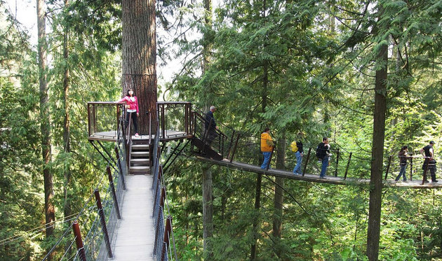 Capilano bridge