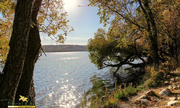 Mission Lake on the east side of Fort Qu'Appelle offers stunning landscapes both from down near the lake and from the hills surrounding. Photo by Dianne Mursell