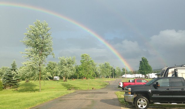 Moments after a summer thunderstorm, 2016.