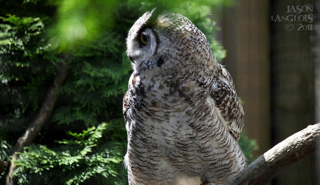 The Greater Vancouver Zoo is a must-see.