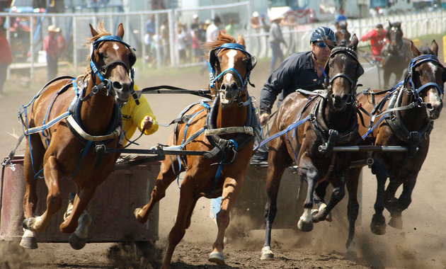 Horse racing is one aspect of culture in Vermilion, but there's so much more to this vibrant community.
Photo courtesy Mary Lee Prior