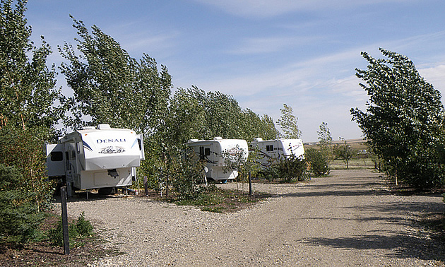 RVs parked side by side in a resort