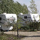 RVs parked side by side in a resort