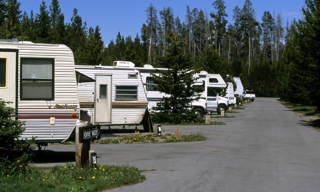 RVs in a park lined up