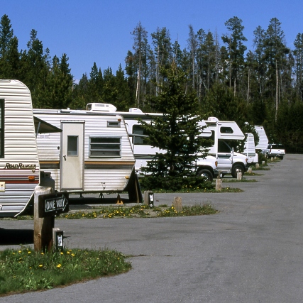 RVs in a park lined up