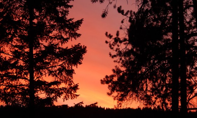 Enjoy the sunset at Lake Koocanusa.  